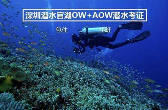 聊城开展“放心消费·诚信交通”主题宣传活动